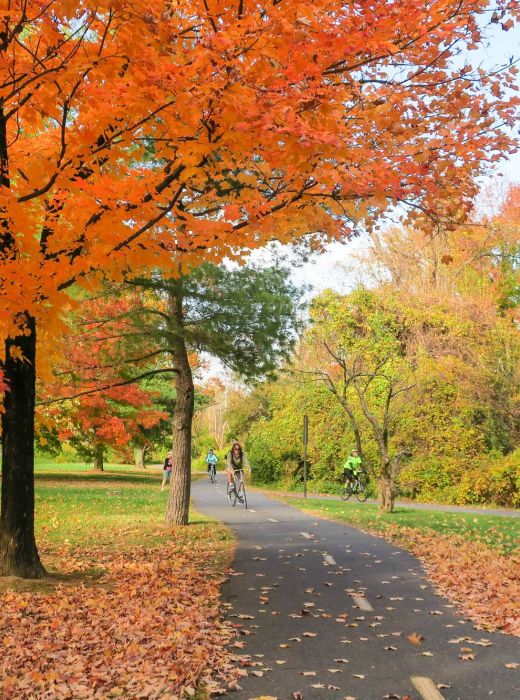 Park near Mason Avenue on a fall day